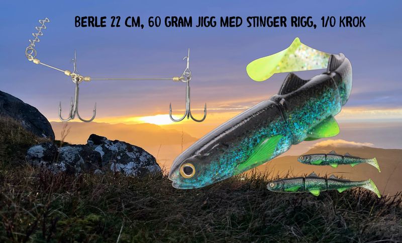 BERLE, 22cm, 60 grams jigg med rigg 2 kroker